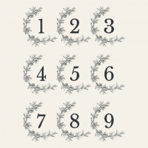 Transfer Numbers