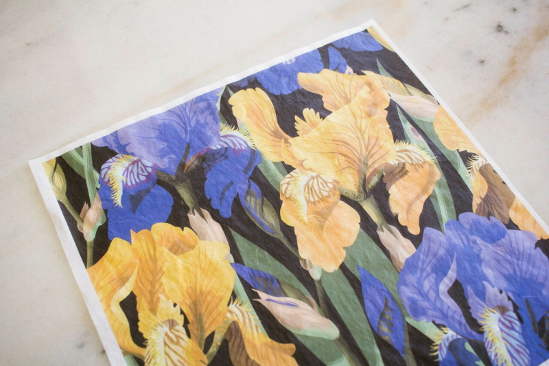 Rižev papir Floral on Black (Dixie Belle)