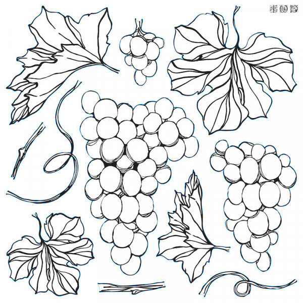 Štampiljka IOD Grapes