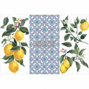 Transfer Redesign Lemon Tree 3/1