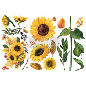Transfer Redesign Sunflower Afternoon 3/1