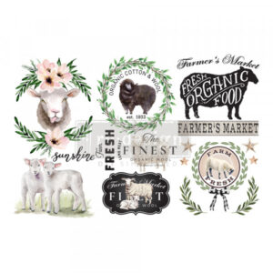 Transfer Redesign Sweet Lamb 3/1